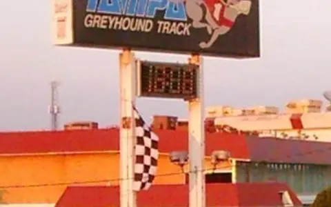 Tampa Greyhound Track — tampa