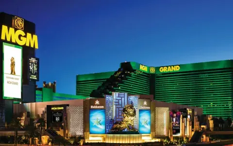 MGM Grand Las Vegas — paradise