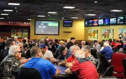 Tampa Bay Downs — tampa
