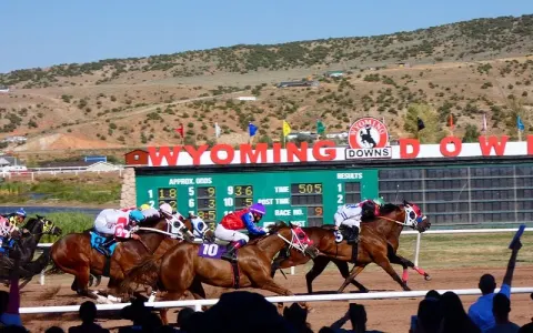 Wyoming Downs Race Track — evanston