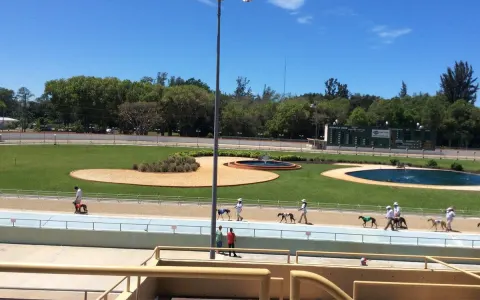Naples/Fort Myers Greyhound Track — bonita springs