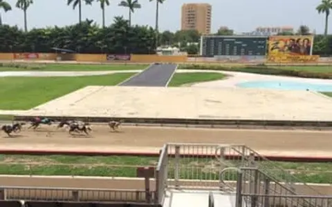 Flagler Dog Track and Magic City Casino — miami