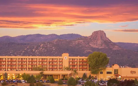 Bucky’s Casino — prescott